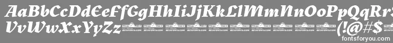 Kitsch Extrabold Italic trial Font – White Fonts on Gray Background