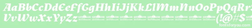 Шрифт Kitsch Extrabold Italic trial – белые шрифты на зелёном фоне