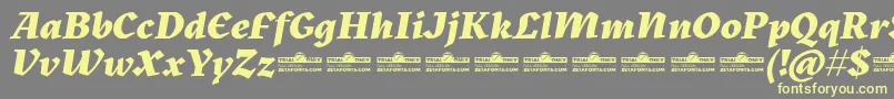 Kitsch Extrabold Italic trial-Schriftart – Gelbe Schriften auf grauem Hintergrund
