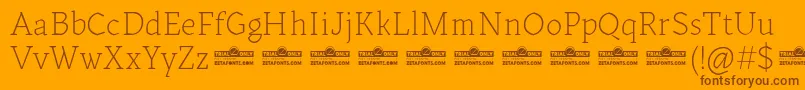 Kitsch Text Extralight trial Font – Brown Fonts on Orange Background