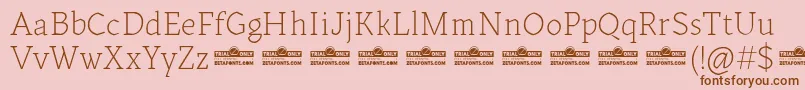 Kitsch Text Extralight trial Font – Brown Fonts on Pink Background