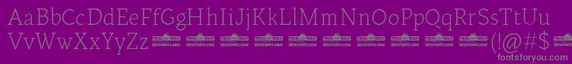 Kitsch Text Extralight trial Font – Gray Fonts on Purple Background