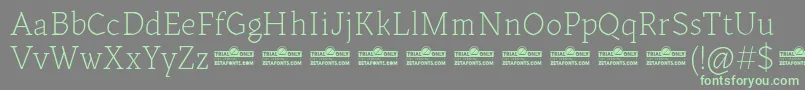 Kitsch Text Extralight trial Font – Green Fonts on Gray Background