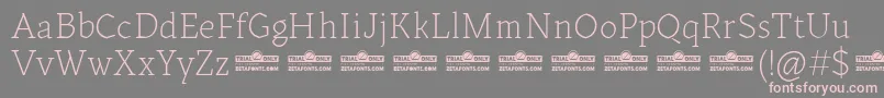 Kitsch Text Extralight trial Font – Pink Fonts on Gray Background