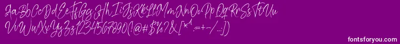 Kiysoom Demo Font – White Fonts on Purple Background