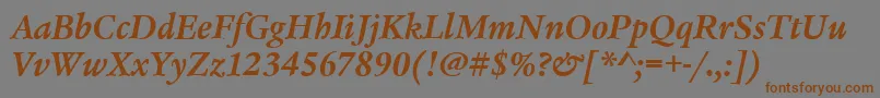 LegacySerifItcTtBolditalic Font – Brown Fonts on Gray Background