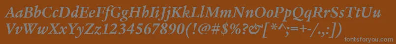 LegacySerifItcTtBolditalic Font – Gray Fonts on Brown Background