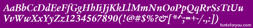 LegacySerifItcTtBolditalic Font – White Fonts on Purple Background
