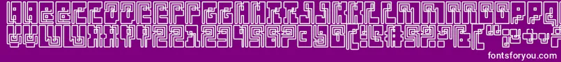 Klein Bottle Font – White Fonts on Purple Background