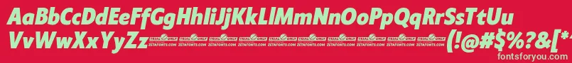 Klein Condensed ExtraBold Italic trial Font – Green Fonts on Red Background