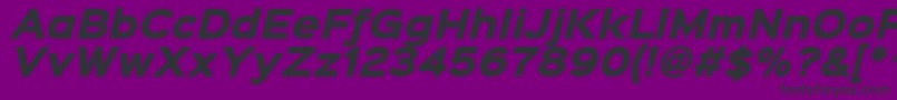 Sinkinsans800blackitalic Font – Black Fonts on Purple Background