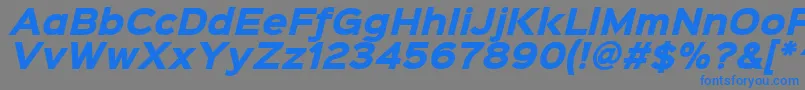Czcionka Sinkinsans800blackitalic – niebieskie czcionki na szarym tle