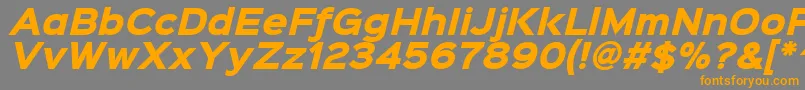 フォントSinkinsans800blackitalic – オレンジの文字は灰色の背景にあります。