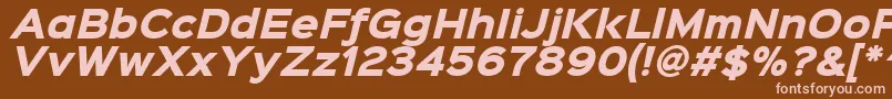 Шрифт Sinkinsans800blackitalic – розовые шрифты на коричневом фоне
