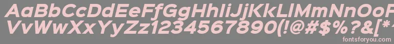 fuente Sinkinsans800blackitalic – Fuentes Rosadas Sobre Fondo Gris