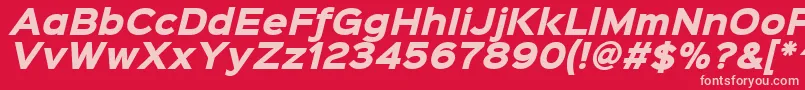 Шрифт Sinkinsans800blackitalic – розовые шрифты на красном фоне