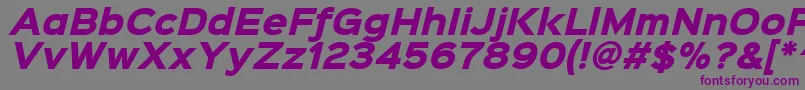 Sinkinsans800blackitalic Font – Purple Fonts on Gray Background