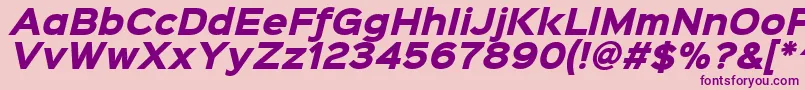 Czcionka Sinkinsans800blackitalic – fioletowe czcionki na różowym tle