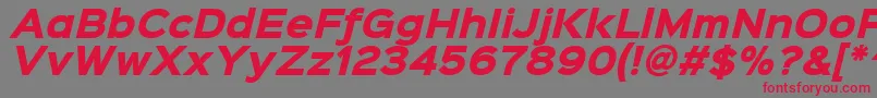 Sinkinsans800blackitalic Font – Red Fonts on Gray Background