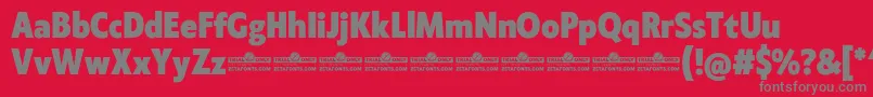Klein Condensed ExtraBold trial Font – Gray Fonts on Red Background