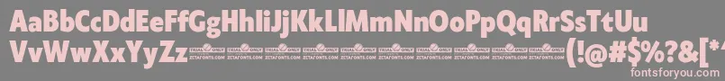 Klein Condensed ExtraBold trial Font – Pink Fonts on Gray Background