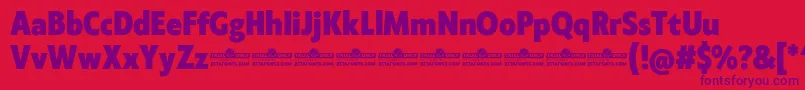 Klein Condensed ExtraBold trial Font – Purple Fonts on Red Background