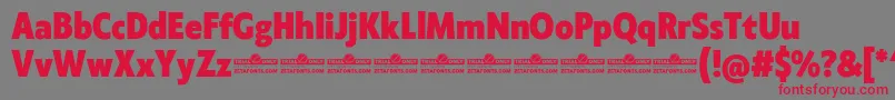 Klein Condensed ExtraBold trial Font – Red Fonts on Gray Background