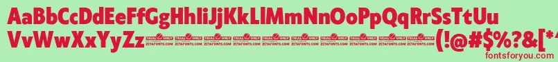 Klein Condensed ExtraBold trial Font – Red Fonts on Green Background