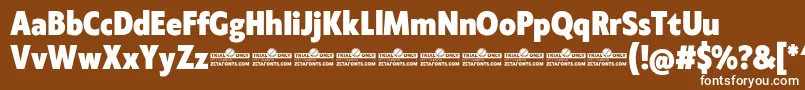 Klein Condensed ExtraBold trial Font – White Fonts on Brown Background