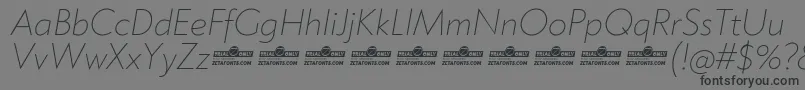 Klein ExtraLight Italic trial Font – Black Fonts on Gray Background