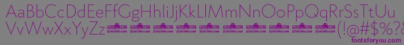 Klein ExtraLight trial Font – Purple Fonts on Gray Background