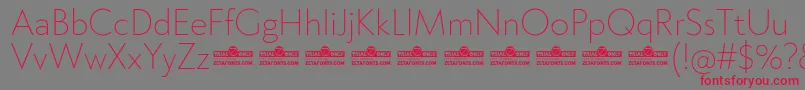 Klein ExtraLight trial Font – Red Fonts on Gray Background