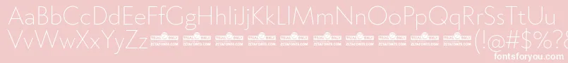 Klein ExtraLight trial Font – White Fonts on Pink Background