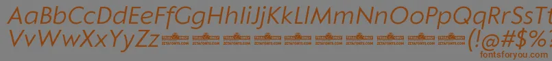 Klein Text Book Italic trial Font – Brown Fonts on Gray Background