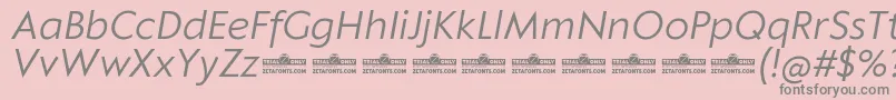 Klein Text Book Italic trial Font – Gray Fonts on Pink Background