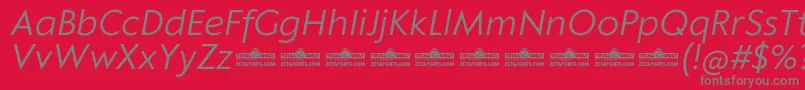 Klein Text Book Italic trial Font – Gray Fonts on Red Background