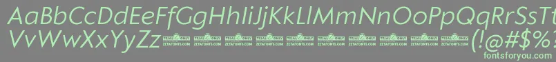 Czcionka Klein Text Book Italic trial – zielone czcionki na szarym tle