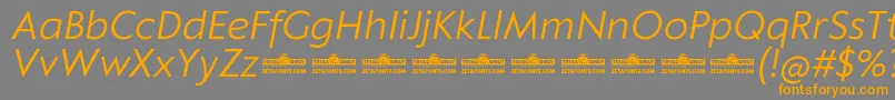 Czcionka Klein Text Book Italic trial – pomarańczowe czcionki na szarym tle