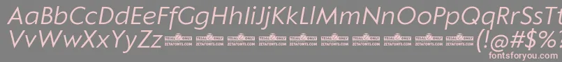 Klein Text Book Italic trial-Schriftart – Rosa Schriften auf grauem Hintergrund