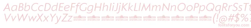 fuente Klein Text Book Italic trial – Fuentes Rosas