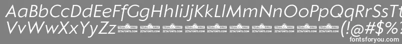 Klein Text Book Italic trial Font – White Fonts on Gray Background