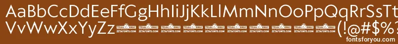 Klein Text Book trial Font – White Fonts on Brown Background