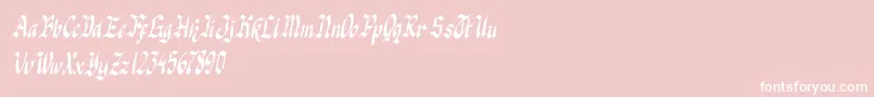 knight jacker italic Font – White Fonts on Pink Background