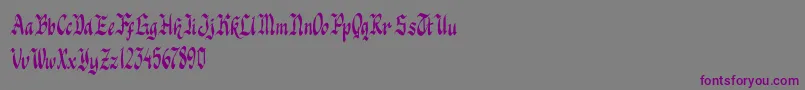 Knight Jacker-Schriftart – Violette Schriften auf grauem Hintergrund