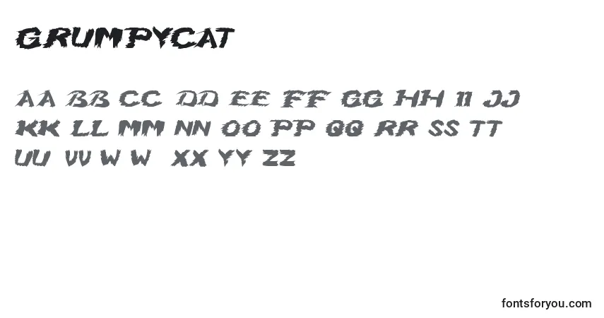 Schriftart GrumpyCat – Alphabet, Zahlen, spezielle Symbole