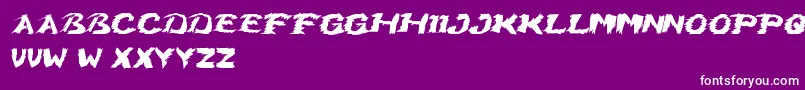 Weitere Informationen zur GrumpyCat-Schriftart GrumpyCat-Schriftart – Weiße Schriften auf violettem Hintergrund