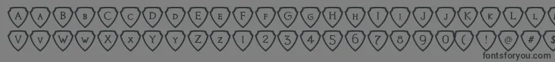 Knights Quest Shielded Font – Black Fonts on Gray Background