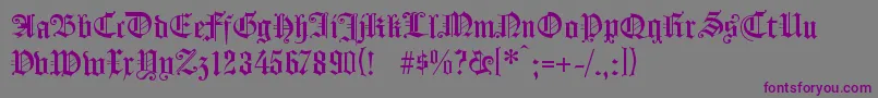 Шрифт KOENG    – фиолетовые шрифты на сером фоне