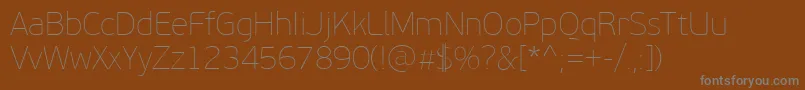PfbeausansproXthin Font – Gray Fonts on Brown Background