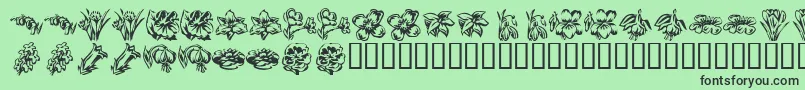 KR Beautiful Flowers 2 Font – Black Fonts on Green Background